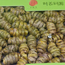 同仁堂鐵皮石斛楓斗石斛樂(lè)清石斛禮盒滋補(bǔ)150g七夕情人節(jié)禮物送女友 曬單實(shí)拍圖