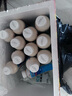 味全活性乳酸菌乳飲品 800億益生菌冷藏低溫飲料兒童學(xué)生隨餐 原味*4瓶+草莓*4瓶+蘆薈*4瓶 曬單實拍圖