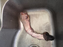 新鮮驢鞭帶蛋驢寶現殺整套驢蛋滋補生驢鞭熟食泡酒私密隱私發(fā)貨 單鞭約7-8兩[順豐] 曬單實(shí)拍圖