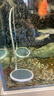 森森（SUNSUN）造浪泵魚缸水族箱沖浪泵耀藍(lán)造流吹糞便吹魚便 磁鐵款13W 流量調(diào)節(jié) 適合100-150cm魚缸 曬單實(shí)拍圖