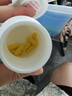 FACE VET【順豐】臉譜生物寵物傳福腹大師杯狀大師皰疹大師炎正清泌大師 膠囊 傳福大師1瓶（10粒）【貓腹傳口服】 曬單實拍圖