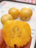 傾睦云南人參果石林大圓果黃肉甜人生果現摘孕婦時(shí)令現摘新鮮水果禮盒 5斤  中果50-80g 曬單實(shí)拍圖