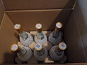 汾酒53度黃蓋玻汾  清香型白酒 高度口糧酒  泡酒 53度 475mL 6瓶 整箱裝非原箱 曬單實(shí)拍圖