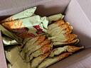 脆司令干脆面豫竹香脆面多口味懷舊零食掌心面 【*推薦】奧爾良雞翅 【*整箱劃算】53g*40包 曬單實(shí)拍圖