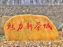 校訓(xùn)奠基景觀石 珠海大型假山黃臘石村牌刻字招牌石風(fēng)景黃蠟石 村牌石（詳情咨詢客服 非賣價） 曬單實拍圖
