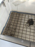 活體飼料魚(yú)麥穗魚(yú)小魚(yú)苗喂龍魚(yú)羅漢鱷龜開(kāi)口飼料魚(yú)淡水魚(yú)活魚(yú)包活 飼料魚(yú)1-2厘米30條送10%防損 曬單實(shí)拍圖