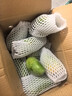 甜果源凱特芒芒果 熱帶應季時令樹上熟 現(xiàn)摘新鮮水果包郵 5斤精選果【單果400g+】凈4.5斤 曬單實拍圖