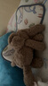 捉趣吉姆尼河馬毛絨玩具可愛公仔軟小河馬玩偶抱睡布娃娃女生生日禮物 吉姆尼大象 全長約35cm 曬單實拍圖