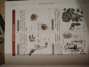 本草綱目對(duì)癥養(yǎng)生全書(shū)（古方、偏方、名方、藥膳，本草精華一書(shū)集解！傳承健康養(yǎng)生智慧） 曬單實(shí)拍圖