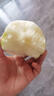 京鮮生 蘇翠一號 應季鮮梨 凈重3斤 單果250g+ 新鮮水果 源頭直發(fā)包郵 曬單實拍圖