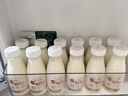 每日鮮語4.0g蛋白高鈣鮮牛奶 低溫奶 早餐奶 【4.0g蛋白】全脂250ml*6瓶 曬單實拍圖
