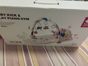 費(fèi)雪（Fisher-Price）嬰兒健身架寶寶炫彩腳踏鋼琴健身器新生兒安撫音樂早教玩七夕禮物 Babycare鋼琴健身架-伯恩賽忠犬 曬單實(shí)拍圖