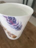 愛(ài)屋格林馬克杯陶瓷杯咖啡杯辦公室創(chuàng  )意水杯大容量茶杯七夕禮物女生 雀羽A款 曬單實(shí)拍圖
