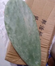 皓謙米邦塔可食用仙人掌藥用老片多肉植物可外敷面膜植物 7年（藥用美容）老片一斤 不含盆 曬單實拍圖