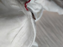 眠島春季新款睡衣女純棉紗布甜美刺繡長袖可外穿家居服套裝 白色 M (158-165cm 115斤以內(nèi)) 曬單實拍圖