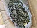 渤海捕手大連特產(chǎn)新鮮鹽漬裙帶菜5斤/箱（含鹽只有10%出成率高） 大連新鮮鹽漬裙帶菜5斤/箱（少鹽 曬單實拍圖