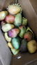壹萌果蔬四川攀枝花凱特芒果新鮮水果當(dāng)季特大香甜青芒果當(dāng)季整箱包郵 凈4.5斤-5斤甄選果【單果500g+】 曬單實(shí)拍圖