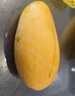 橙小士海南三亞金煌芒果紙核芒水仙特大芒果水果現(xiàn)摘當(dāng)季熱帶水果年貨 5斤精品大果【單果400g-600g】 曬單實(shí)拍圖