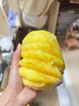 囍成雙海南金鉆鳳梨新鮮大果當(dāng)季孕婦水果鳳梨手撕香水菠蘿禮盒整箱送禮 精選優(yōu)果2枚【無禮盒】 曬單實(shí)拍圖