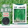 北蔬 韭菜種子苗小葉一年四季南北方家庭陽臺菜籽 小細葉韭菜種子10g 曬單實拍圖