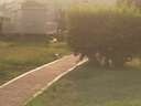卡色（Kase） AGCMC UV鏡 MC雙面多層鍍膜uv鏡保護鏡頭 無(wú)暗角 適用于 適馬鏡頭濾鏡保護鏡 AGC款 高清MCUV鏡 適用適馬56mm F1.4 DC DN鏡頭 曬單實(shí)拍圖