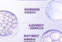歐萊雅紫安瓶洗發(fā)水露潤發(fā)乳洗護(hù)套裝蓬松控油止癢頭皮不貼臉洗頭膏禮物 玻尿酸洗發(fā)露440ml*2 曬單實(shí)拍圖