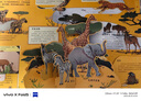 青葫蘆那么大動物立體書兒童3d立體翻翻機關(guān)繪本3-6-10歲以上圖畫書小學生讀物一二年級故事神奇昆蟲科普百科全書益智玩具生日禮物 那么大！立體書：動物 曬單實拍圖