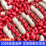 北蔬 花生種子原種新品種產(chǎn)高黑花生紅皮四粒紅農科院種籽 四粒紅花生種子1斤【推薦不帶殼 曬單實(shí)拍圖