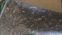 吾家余堂掃帚苗中藥材掃帚草地膚子煮水身上癢帶狀皰疹煮水喝外洗方擦洗原材料 掃帚苗500克 曬單實(shí)拍圖