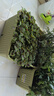 原起點(diǎn)種菜專(zhuān)用盆蔬菜種植箱家用神器大號花盆長(cháng)方形條塑料戶(hù)外庭院陽(yáng)臺 【5個(gè)】50*30*27cm帶輪視窗款-綠 升級款第三代 曬單實(shí)拍圖
