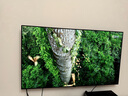 LG65英寸OLED游戲電視機智能4KHDR超高清超薄全面屏120Hz高刷0.1ms低延遲G-Sync FreeSync 65英寸 OLED65B4PCA 曬單實拍圖