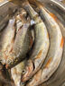 美人魚(yú)（Mermaid） 美人魚(yú)臺釣方便主線(xiàn)組純手工精綁的套裝成品子線(xiàn)主線(xiàn)組垂釣配件 【成品線(xiàn)組】5.4米 1.5號 曬單實(shí)拍圖