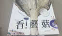 看！蘑菇—家門外的自然課系列 曬單實(shí)拍圖