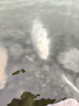 沃鼎王者神劍三代釣魚竿輕量大物竿鰱鳙巨物竿超硬超輕魚桿手竿臺釣竿 8.1m 3代暴力巨物【暴力狂拉】 曬單實拍圖