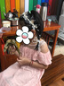 圣喜安兒童花環(huán)發(fā)帶發(fā)箍珍珠皇冠女童公主古風(fēng)頭飾表演花童配飾頭箍森系 白色花環(huán)一個 曬單實拍圖