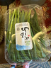 小湯山 有機油菜 約250g 有機蔬菜當天采摘北京農場(chǎng)順豐到家 曬單實(shí)拍圖