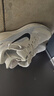 耐克NIKE男子跑步鞋 飛馬41 PEGASUS 41 運(yùn)動(dòng)鞋F(xiàn)D2722-113帆白/黑42 曬單實(shí)拍圖