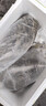 活泥鰍 戶外垂釣釣魚專用餌料飼料魚本地金鰍鮮活淡水烏龜龍魚飼料活體泥鰍批發(fā) 5-9厘米泥鰍1000條 曬單實拍圖