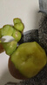 淳果一木 黃心獼猴桃 河南黃金奇異果金果獼猴桃 新鮮水果 生鮮 水果 12個單果50-77.9克+ 曬單實拍圖