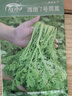 壽禾茼蒿種子苗小葉皇帝菜細(xì)葉蔬菜種籽  濰嫩7號(hào)茼蒿種子15g約6300粒 曬單實(shí)拍圖