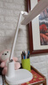 飛利浦（PHILIPS）充電護(hù)眼臺燈自營家用學(xué)生宿舍床頭學(xué)習(xí)臺燈5000毫安品泰不含夾子 曬單實拍圖