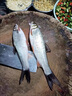 久巖 伊勢尼子線雙鉤成品有刺魚鉤套裝手工精綁防纏繞野釣湖庫大物 75cm伊勢尼有刺【鉤10+4 鉤11+5】 【20付/盒】 曬單實拍圖
