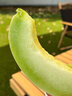 綠食帶山東玉菇甜瓜 正宗冰淇淋蜜甜瓜 應(yīng)季新鮮水果 整箱產(chǎn)地直發(fā) 凈重4.5斤【2-3個】 曬單實(shí)拍圖