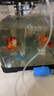 EHEIMUSB魚缸養(yǎng)魚家用增氧泵小型便攜戶外釣魚氧氣泵可接車載充電寶 調速版/5CM氣盤（中小魚缸首選）氣量可調節(jié) 曬單實拍圖