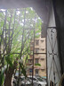TLXT隔音墊雨棚消音墊鐵皮隔音棉防雨滴雨聲帶防水隔音膜降噪自粘室 30cm寬/1米長(cháng)【10mm厚鋁箔自粘】 曬單實(shí)拍圖