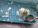茨格曼 蘆丁雞飼料柯爾鴨小雞飼料鳥飼料皺雞成長高蛋白營養(yǎng)混合型產(chǎn)蛋# 全期成長營養(yǎng)飼料【2.5kg】 曬單實拍圖