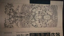 敦煌壁畫(huà)線描精品集 曬單實(shí)拍圖