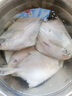 富海錦 渤海銀鯧魚(yú) 450g 3條 平魚(yú) 火鍋燒烤食材 烤魚(yú)海鮮水產(chǎn)魚(yú)類 曬單實(shí)拍圖