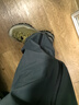 拓路者【雪鷹】沖鋒褲event硬殼男戶(hù)外登山褲防風(fēng)防水直筒長(cháng)褲子透氣 青石灰 XL 曬單實(shí)拍圖