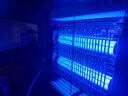 瑞豐年新款滅蠅燈商用蒼蠅神器養(yǎng)殖廠電擊式蚊蠅誘滅器餐廳飯店用滅蚊燈 雙管旗艦版 紫光 LED-6W 曬單實拍圖